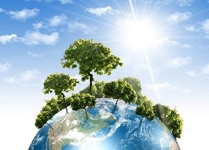 The environmental protection depends on each person